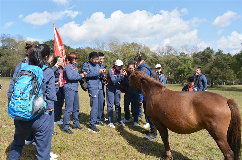 澳门霸王四肖